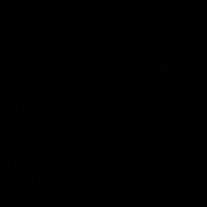 Meet your Posher, Dalia